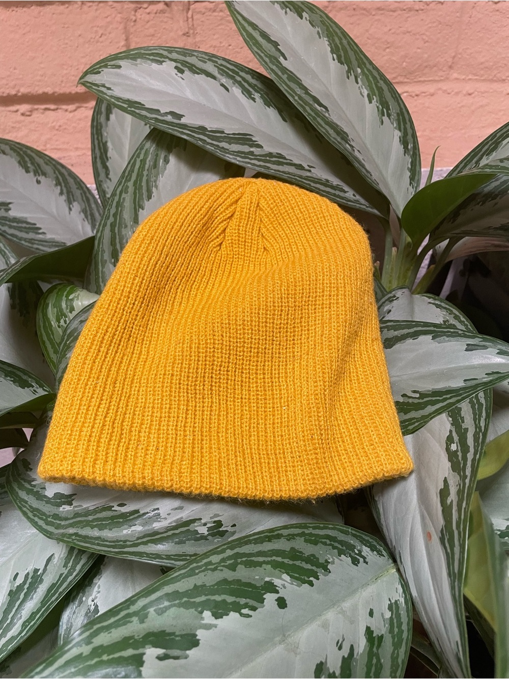 Two Pack of Beanies